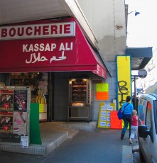 PA-400 à PA-499 /// 20 pts