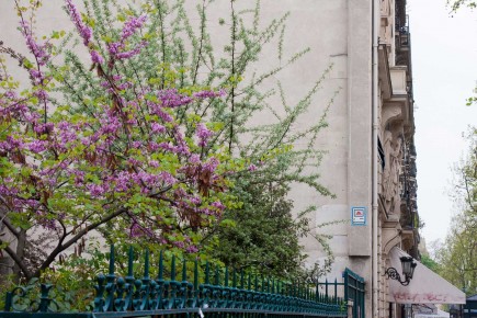 PA-798 - Quartier Saint Germain des Prés 06è /// 30 pts