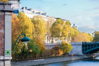 PA-800 à PA-899 /// 20 pts