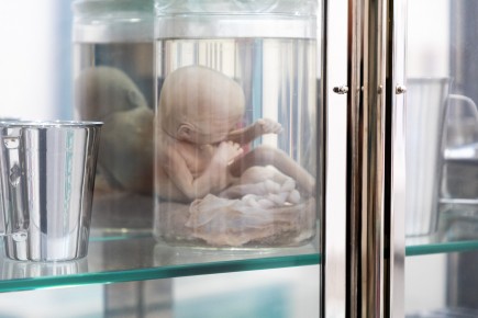 "Triple Trouble" exposition de Invader, Shepard Fairey et Damien Hirst à la Newport Street Gallery du 10 octobre 2025 au 29 mars 2026