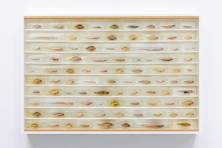 "Triple Trouble" exposition de Invader, Shepard Fairey et Damien Hirst à la Newport Street Gallery du 10 octobre 2025 au 29 mars 2026