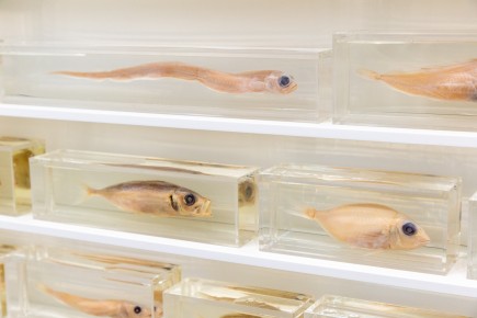 "Triple Trouble" exposition de Invader, Shepard Fairey et Damien Hirst à la Newport Street Gallery du 10 octobre 2025 au 29 mars 2026