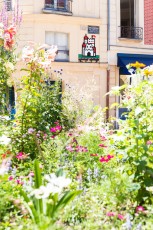 VERSAILLES /// 40 pts