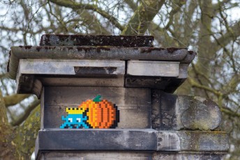 VERSAILLES /// 30 pts