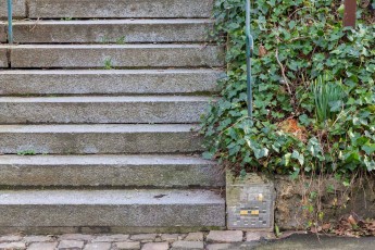 VRS-34 - Avenue des Etats-Unis - Versailles (78) /// 30 pts