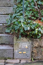 VRS-34 - Avenue des Etats-Unis - Versailles (78) /// 30 pts