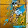 Pochoirs de C215 sur les murs de Vitry-sur-Seine