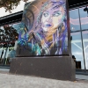 Pochoirs de C215 sur les murs de Paris