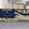 Graffitis sur les murs de Lyon