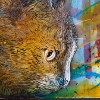 C215 à Londres