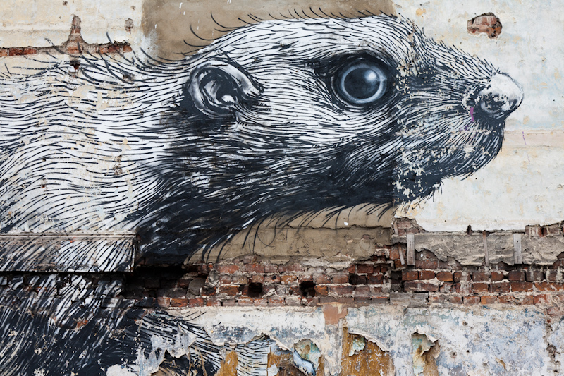 Roa - Juin 2012