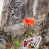 Grafs, pochoirs et affiches sur les murs de Paris