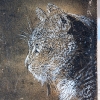 C215 à Vitry