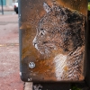 C215 à Vitry