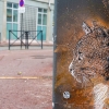 C215 à Vitry