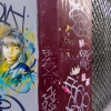 C215 sur les murs de Paris