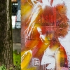 Grafs, pochoirs et affiches sur les murs de Paris