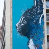 C215 sur les murs de Paris