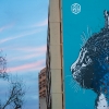 C215 sur les murs de Paris