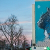 C215 sur les murs de Paris