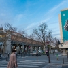 C215 sur les murs de Paris