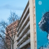 C215 sur les murs de Paris