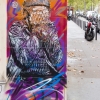 C215 sur les murs de Paris