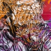 C215 sur les murs de Paris