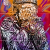 C215 sur les murs de Paris