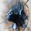 C215 à Vitry