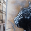 C215 à Vitry