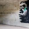 Grafs, pochoirs et affiches sur les murs de Paris
