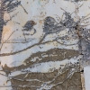 Grafs, pochoirs et affiches sur les murs de Paris