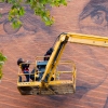 Grafs, pochoirs et affiches sur les murs de Paris