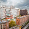 Grafs, pochoirs et affiches sur les murs de Paris