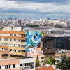 Grafs, pochoirs et affiches sur les murs de Paris