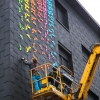 Grafs, pochoirs et affiches sur les murs de Paris