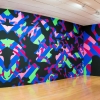 "Wall drawings - Icônes urbaines" exposition au musée d'Art Contemporain de Lyon