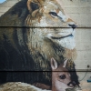 Grafs, pochoirs et affiches sur les murs de Paris