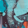 Graffitis sur les murs de Paris