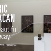 "Beautiful Decay" exposition de Eric Lacan à la galerie Openspace