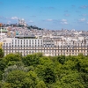 Stream - Projet sur les voies sur berges de la galerie Itinerrance