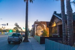 Grafs, pochoirs et affiches sur les murs de Los Angeles