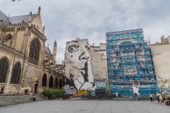 Shepard Fairey à Paris