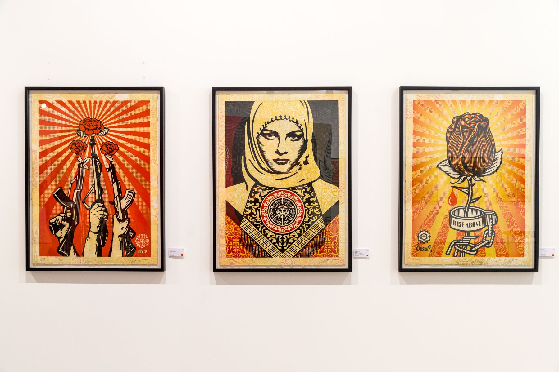 Shepard Fairey - Itinerrance - Juin 2019