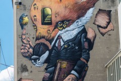 Sur les murs de Grenoble