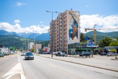 Sur les murs de Grenoble