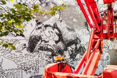 Grafs, pochoirs et affiches sur les murs de Paris