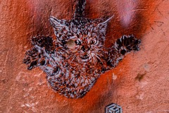 C215 à Marrakech