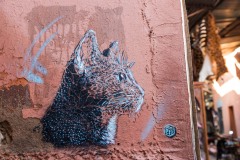 C215 à Marrakech